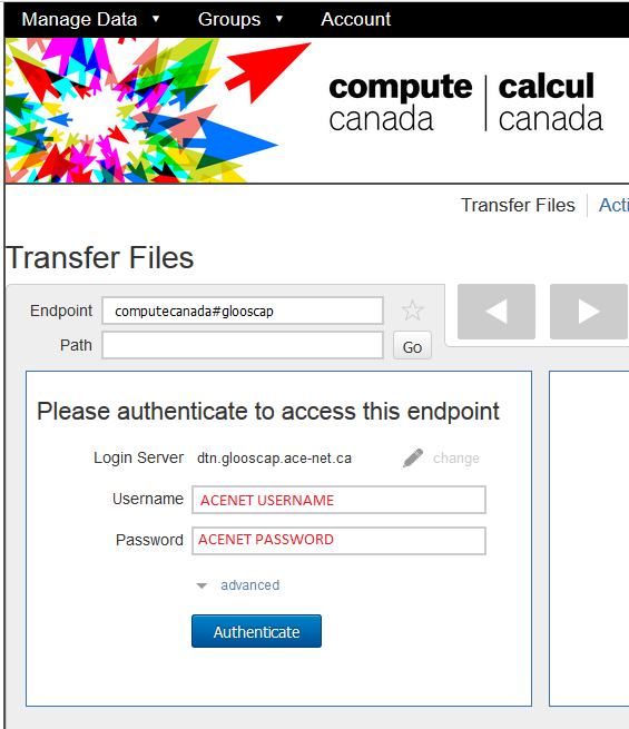 Globus-ACEnet-authentication.PNG